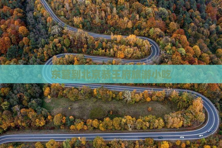 东营到北京恭王府旅游小吃