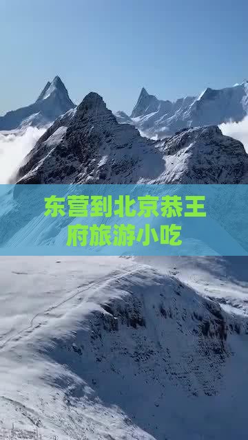 东营到北京恭王府旅游小吃