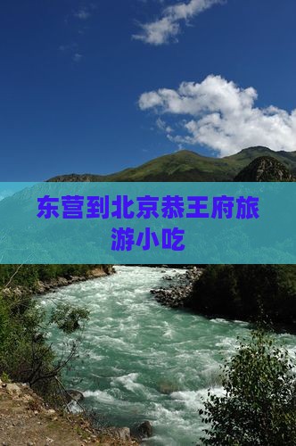东营到北京恭王府旅游小吃