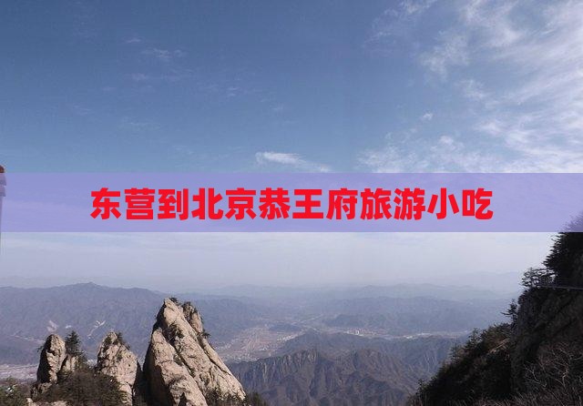 东营到北京恭王府旅游小吃