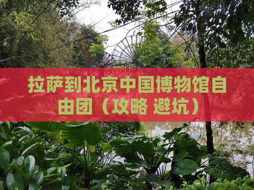 拉萨到北京中国国家博物馆自由团
