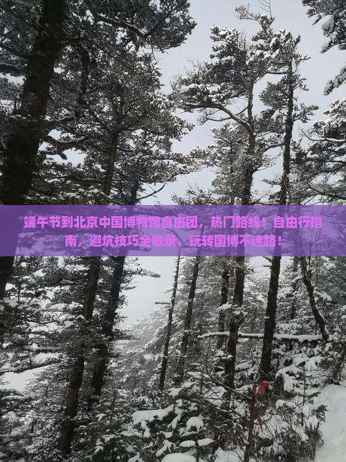 端午节到北京中国国家博物馆自由团