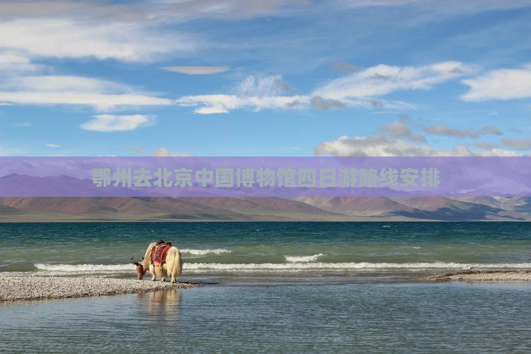 鄂州去北京中国国家博物馆四日游