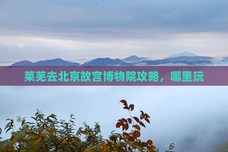 莱芜去北京故宫博物院哪里玩