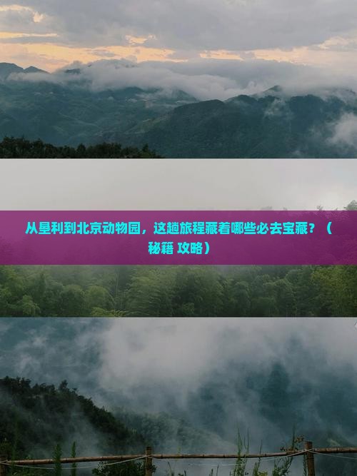 垦利到北京动物园必去地