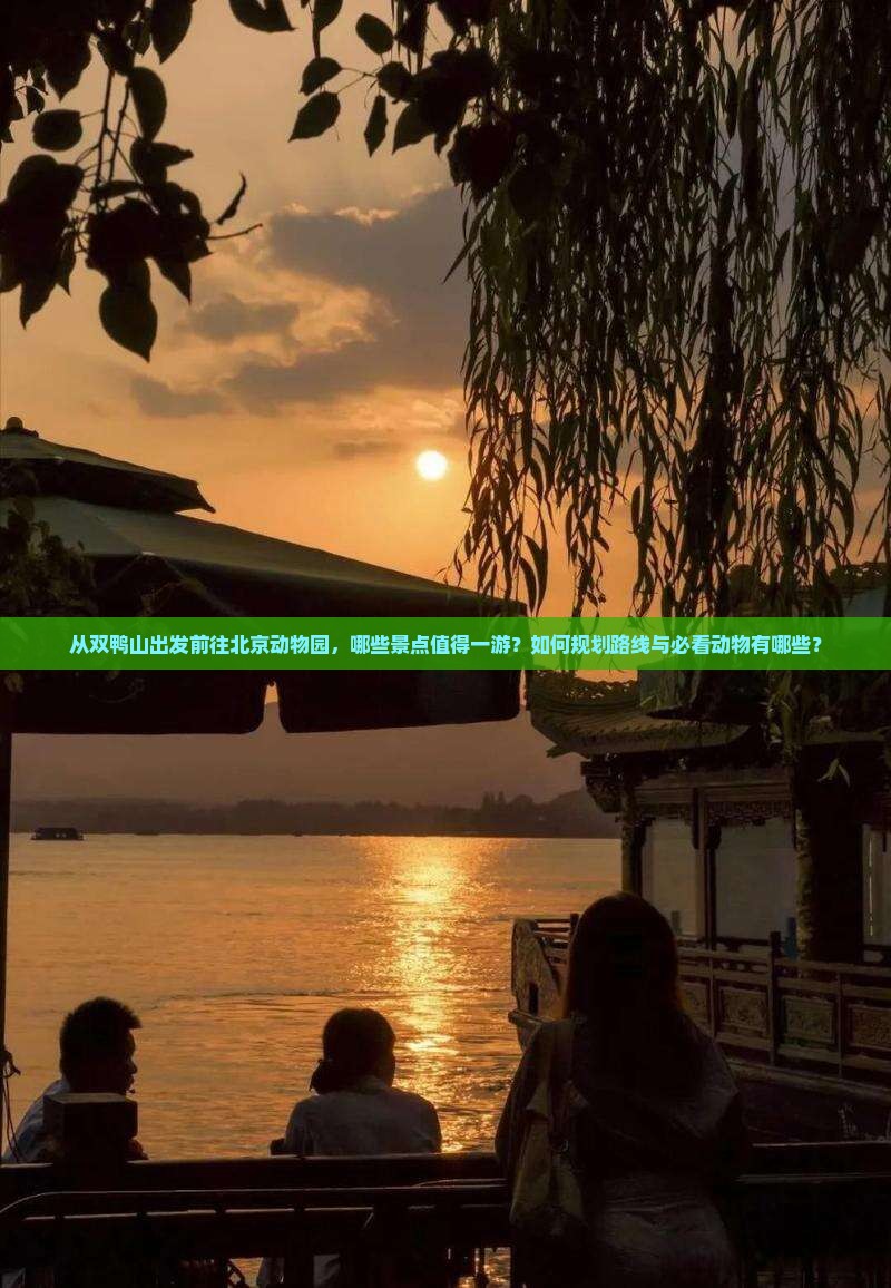 从双鸭山出发前往北京动物园，哪些景点值得一游？如何规划路线与必看动物有哪些？