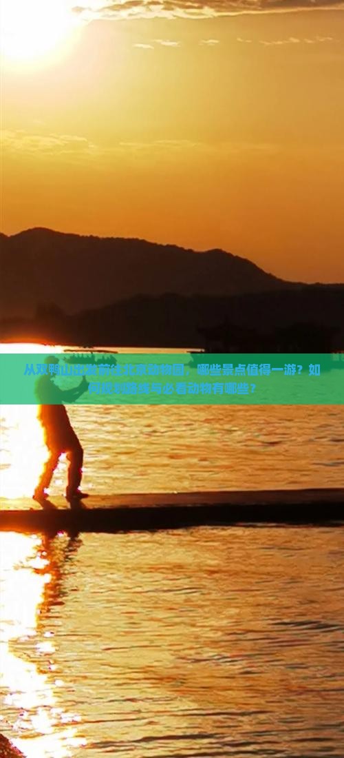 从双鸭山出发前往北京动物园，哪些景点值得一游？如何规划路线与必看动物有哪些？