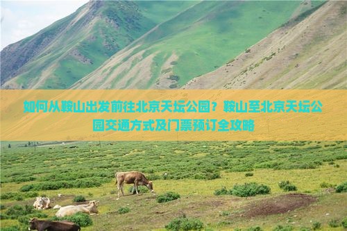 如何从鞍山出发前往北京天坛公园？鞍山至北京天坛公园交通方式及门票预订全攻略