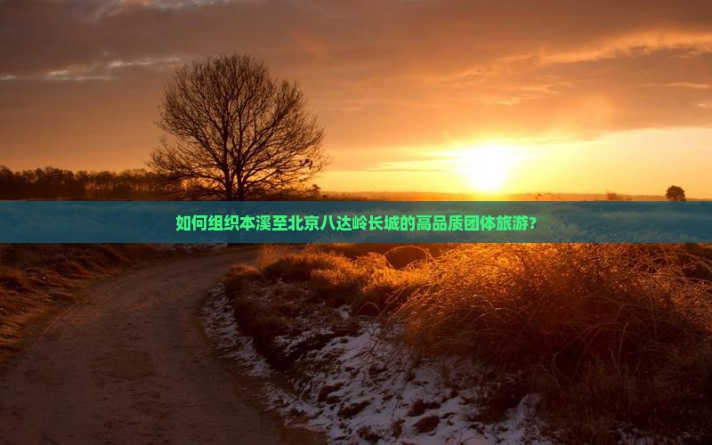 如何组织本溪至北京八达岭长城的高品质团体旅游？
