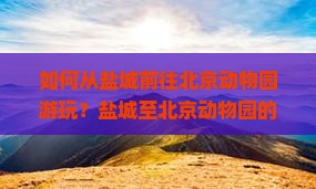 如何从盐城前往北京动物园游玩？盐城至北京动物园的交通方式有哪些？北京动物园游览攻略与特色动物介绍