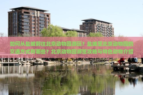 如何从盐城前往北京动物园游玩？盐城至北京动物园的交通方式有哪些？北京动物园游览攻略与特色动物介绍