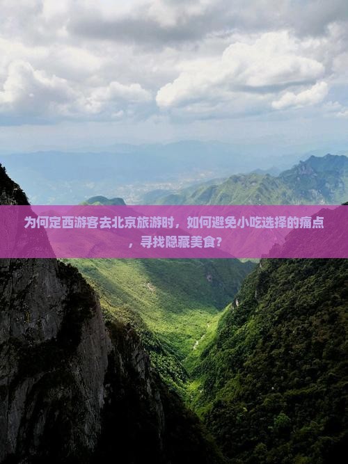 为何定西游客去北京旅游时，如何避免小吃选择的痛点，寻找隐藏美食？