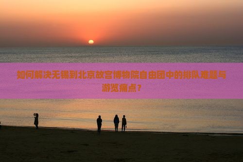 如何解决无锡到北京故宫博物院自由团中的排队难题与游览痛点？