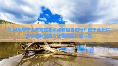 如何从咸宁出发前往北京动物园自由行？咸宁至北京动物园的交通方式及游玩攻略一览
