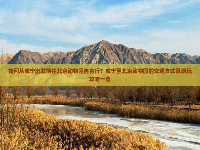 如何从咸宁出发前往北京动物园自由行？咸宁至北京动物园的交通方式及游玩攻略一览