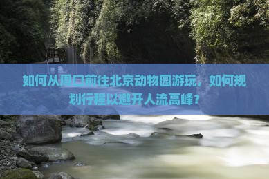 如何从周口前往北京动物园游玩，如何规划行程以避开人流高峰？