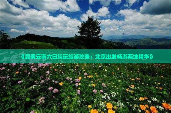 《昆明云南六日纯玩旅游攻略：北京出发畅游两地精华》