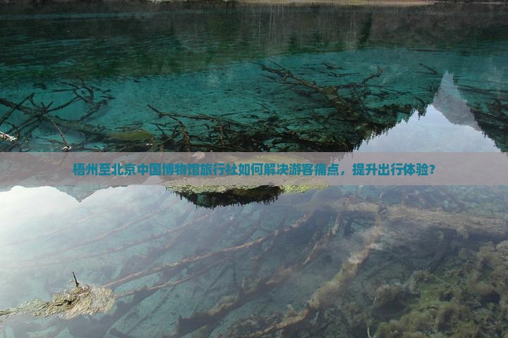梧州至北京中国博物馆旅行社如何解决游客痛点，提升出行体验？