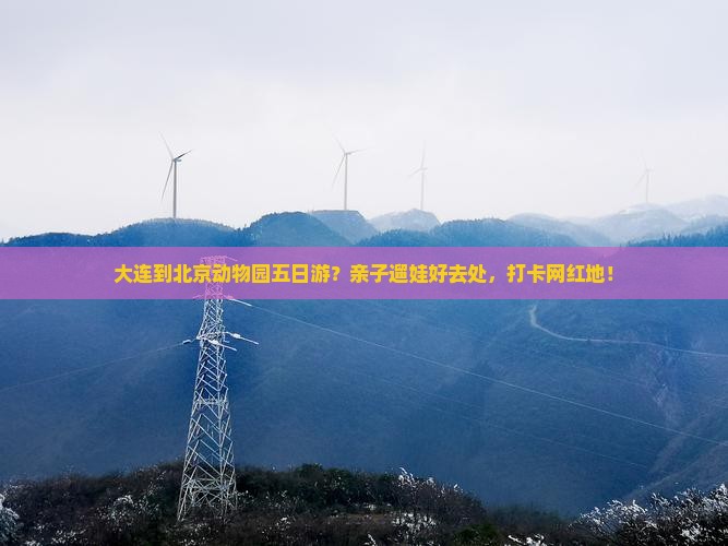 大连到北京动物园五日游？亲子遛娃好去处，打卡网红地！