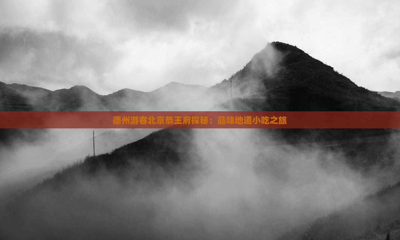 德州游客北京恭王府探秘：品味地道小吃之旅