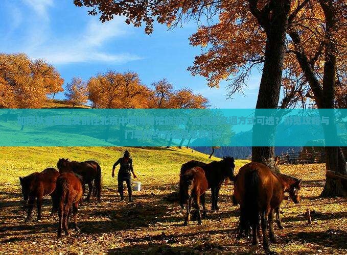 如何从金昌出发前往北京中国博物馆旅游？有哪些交通方式可选？游览攻略与门票预约流程是怎样的？