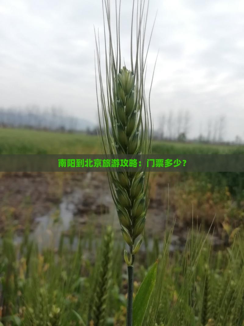 南阳到北京旅游攻略：门票多少？
