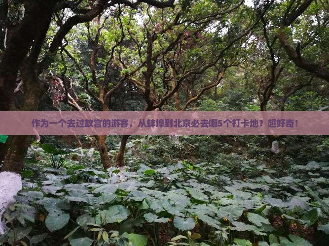 作为一个去过故宫的游客，从蚌埠到北京必去哪5个打卡地？超好奇！