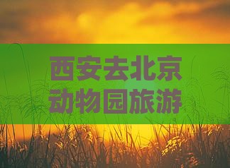 西安去北京动物园旅游小吃攻略及路线指南