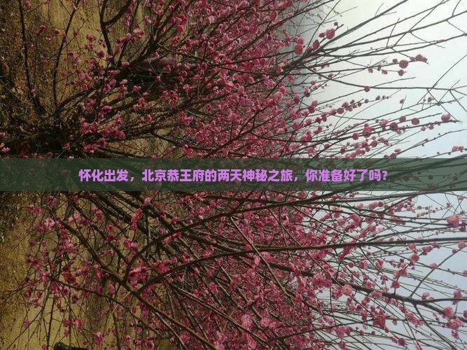 怀化出发，北京恭王府的两天神秘之旅，你准备好了吗？