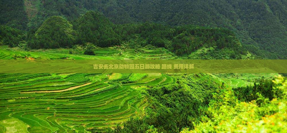 吉安去北京动物园五日游攻略+路线+费用详解