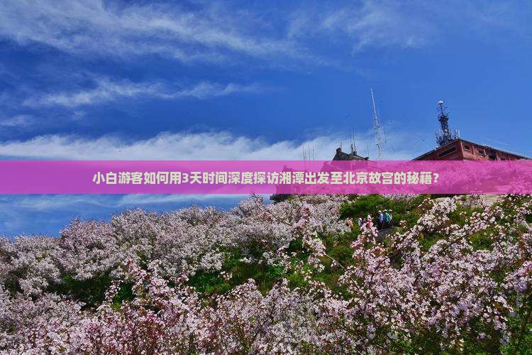 小白游客如何用3天时间深度探访湘潭出发至北京故宫的秘籍？