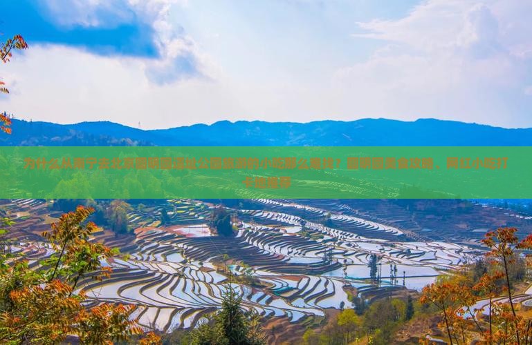 为什么从南宁去北京圆明园遗址公园旅游的小吃那么难找？圆明园美食攻略、网红小吃打卡地推荐