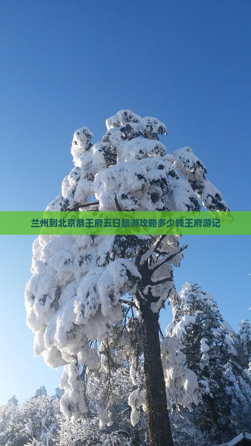 兰州到北京恭王府五日旅游攻略多少钱王府游记