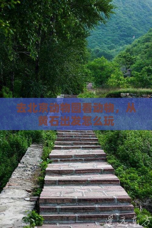 去北京动物园看动物，从黄石出发怎么玩