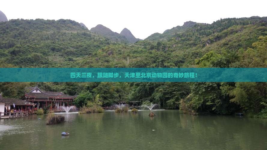 四天三夜，跟随脚步，天津至北京动物园的奇妙旅程！
