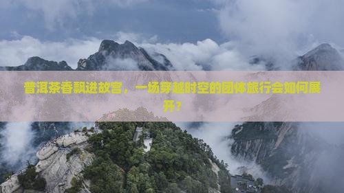 普洱茶香飘进故宫，一场穿越时空的团体旅行会如何展开？