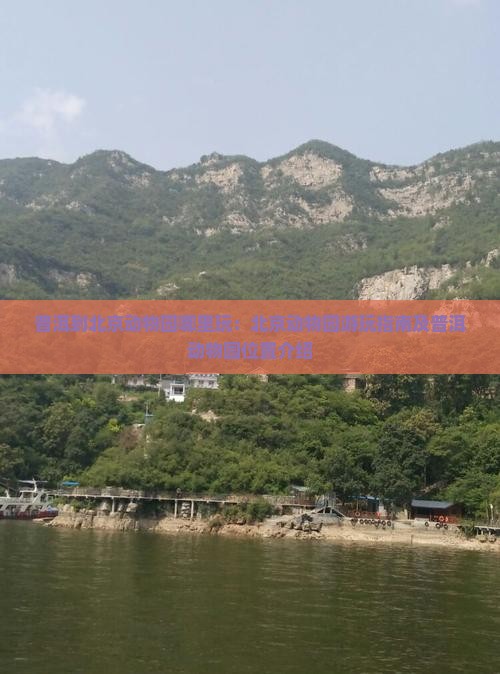 普洱到北京动物园哪里玩：北京动物园游玩指南及普洱动物园位置介绍