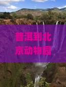 普洱到北京动物园哪里玩：北京动物园游玩指南及普洱动物园位置介绍