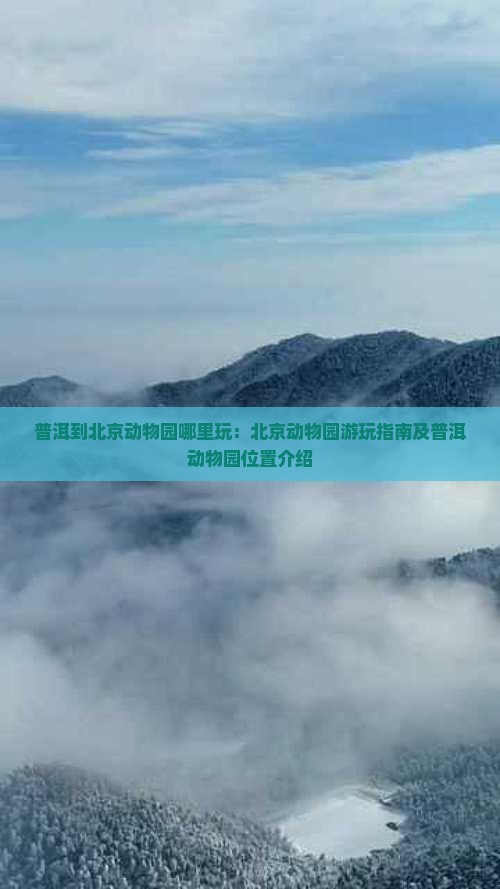 普洱到北京动物园哪里玩：北京动物园游玩指南及普洱动物园位置介绍