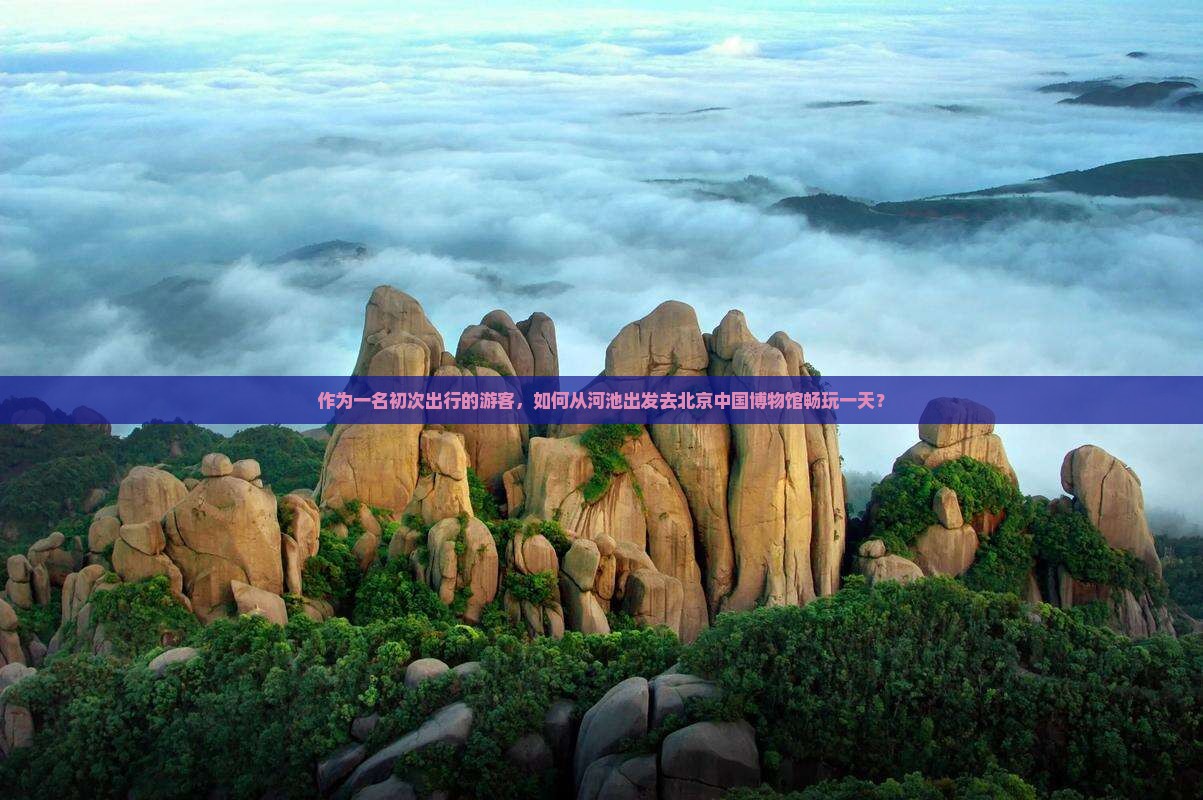 作为一名初次出行的游客，如何从河池出发去北京中国博物馆畅玩一天？