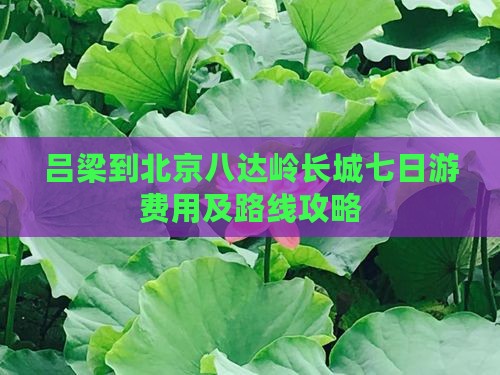 吕梁到北京八达岭长城七日游费用及路线攻略