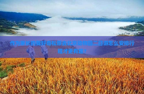 作为家长的我好奇松原去北京动物园二日游怎么安排行程才更有趣？