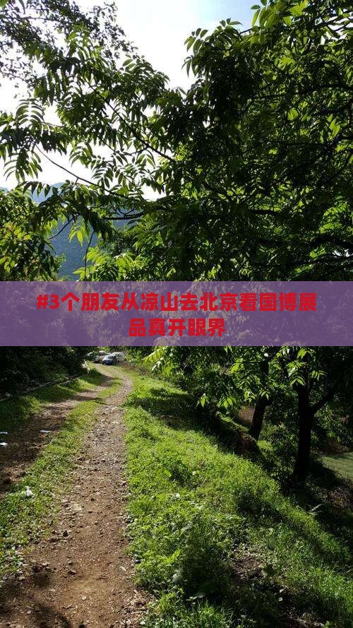 #3个朋友从凉山去北京看国博展品真开眼界