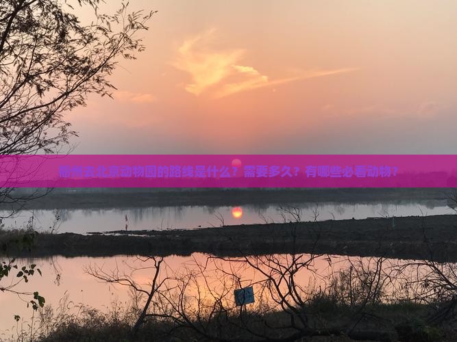 衢州去北京动物园的路线是什么？需要多久？有哪些必看动物？