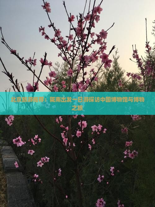 北京旅游推荐：陇南出发一日游探访中国博物馆与博物之旅