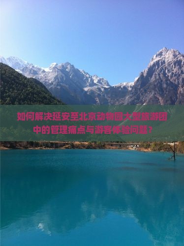 如何解决延安至北京动物园大型旅游团中的管理痛点与游客体验问题？