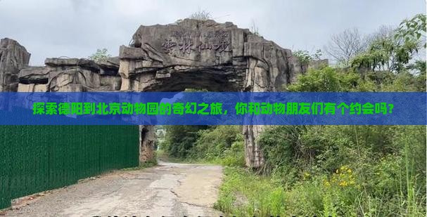 探索德阳到北京动物园的奇幻之旅，你和动物朋友们有个约会吗？