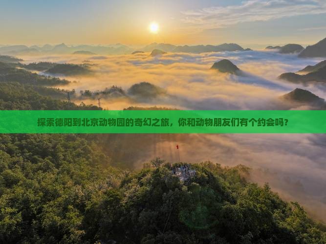 探索德阳到北京动物园的奇幻之旅，你和动物朋友们有个约会吗？