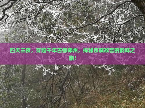 四天三夜，穿越千年古都郑州，探秘京城故宫的韵味之旅！