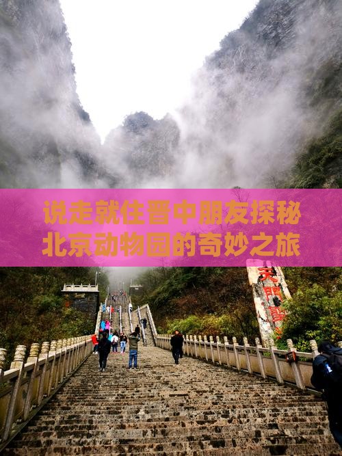 说走就住晋中朋友探秘北京动物园的奇妙之旅